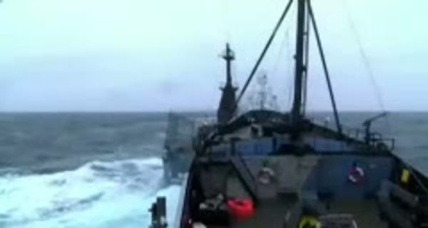 Japon balina gemisi çevrecilerin teknesiyle çarpıştı