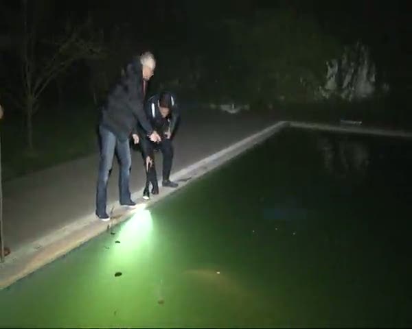 Pamir havuzlarda böyle aranmıştı