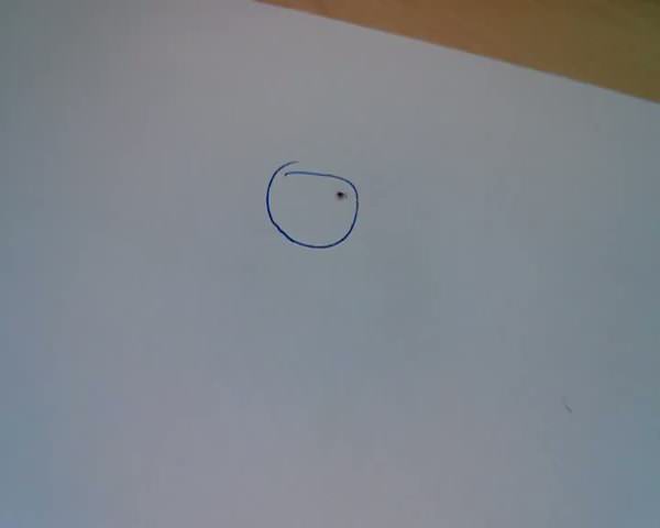 Kalem çizikleri böceği hapsetti