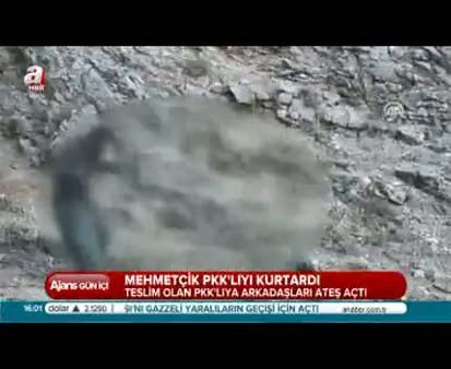 Mehmetçik 2 PKK'lıyı kurtardı
