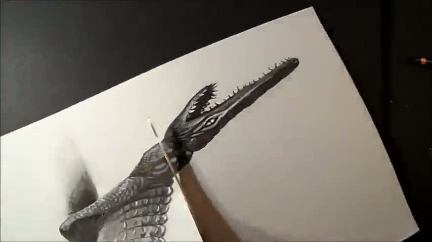 Kağıt üzerinde üç boyutlu timsah çizimi