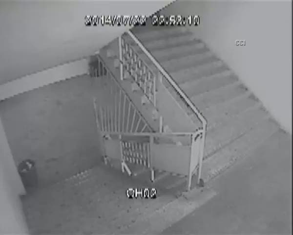 Sıcaklardan bunaldı vantilatör çaldı