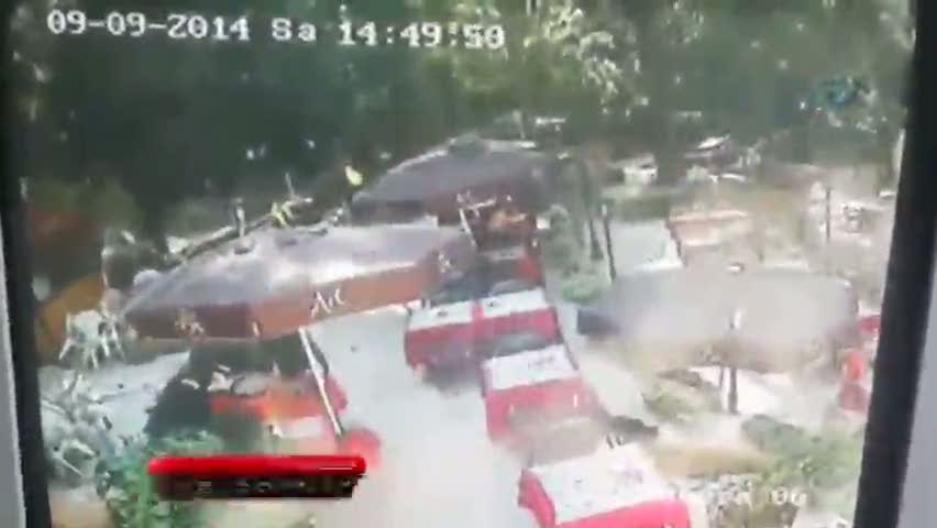 2 can alan ağaç böyle devrildi