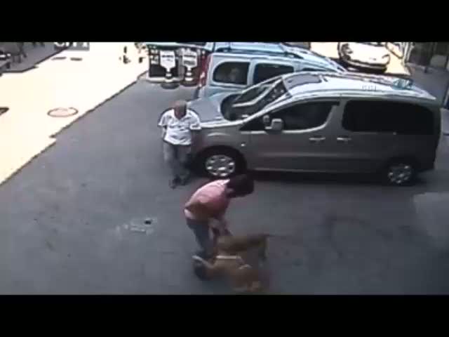 Bursa'da pitbull dehşeti güvenlik kamerasında