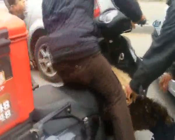 Kesime götürülen boğaya akılalmaz eziyet