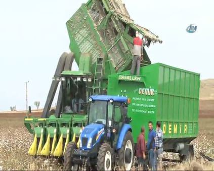 Diyarbakır'da makineli hasat pamuk üretimini artıdı