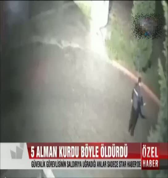 Alman kurtları güvenlik görevlisini böyle öldürdü