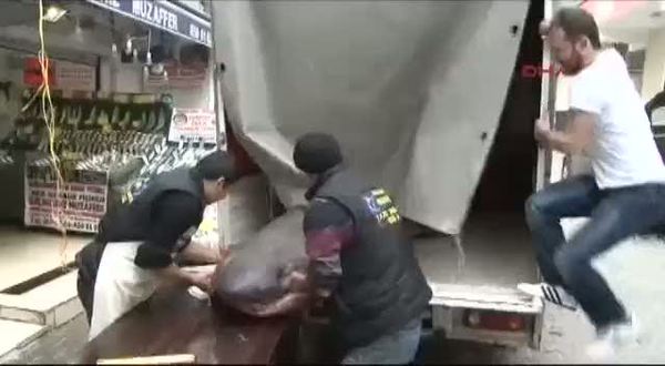 Üsküdar'da 800 kiloluk köpek balığı yakalandı