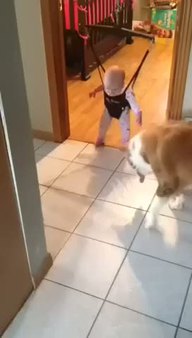 Köpek bebeğe bakın ne öğretiyor