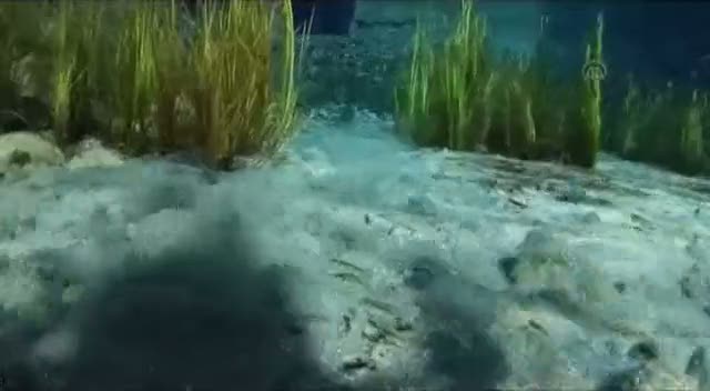 Dalgıçlar Sakarya Nehri'nin doğduğu kaynağı görüntüledi