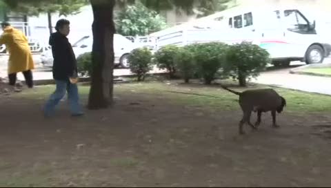 Aydınlatma direği sonu oldu