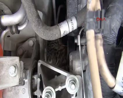 Van'da araç motoruna sıkışan kedi sanayide çıkarıldı