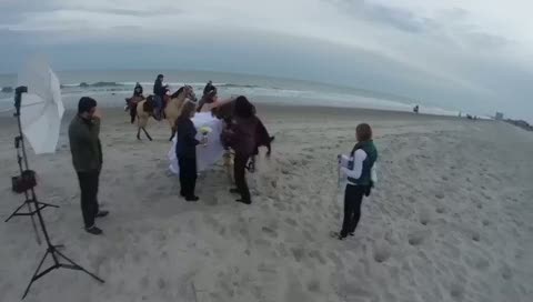 Huysuz at gelini üstünden attı