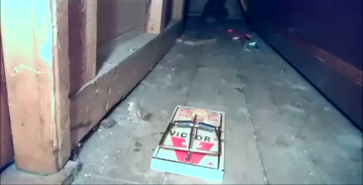 Paranormal sincap kameraya kafa atıyor