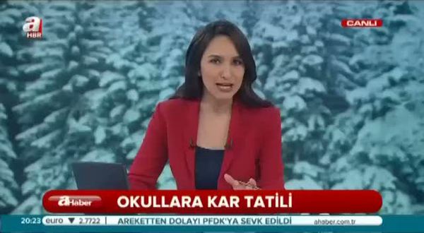 İstanbul'da okullar tatil!