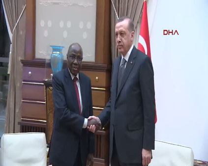 Cumhurbaşkanı Erdoğan, Nijerya Dışişleri bakanını kabul etti