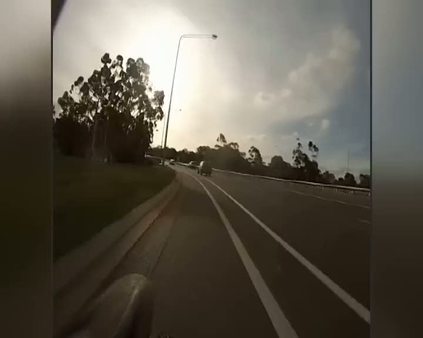 Yola atlayan kanguru bisikletliye böyle çarptı