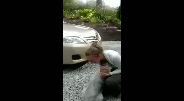 Sahibini 2 yıl sonra gören köpek kendinden geçti