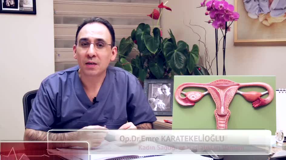 Yumurtalama zamanı nasıl belirlenir?