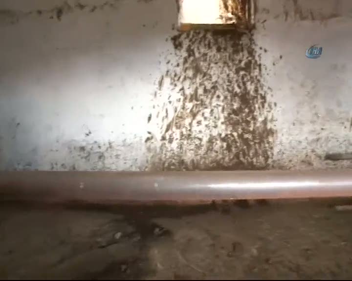 5 bin lira harcayarak bedava elektrik üretti