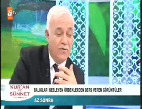 Hayvanlardan ibret alınacak görüntüler