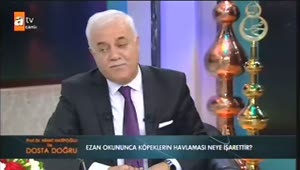 Köpekler melekleri ve şeytanları görebilir mi?