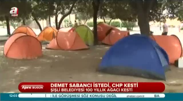 CHP'li belediye 100 yıllık çınar ağacını kesti