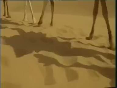 Kahvenin (Coffea arabica) faydaları nelerdir? Nelere iyi gelir?