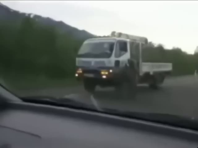 Trafik kontrolü yapan ayı