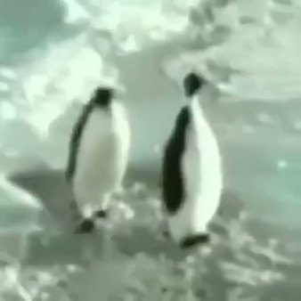 Komik penguenler