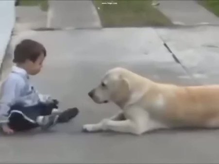 Köpeğin down sendromu olan çocuğa davranışı