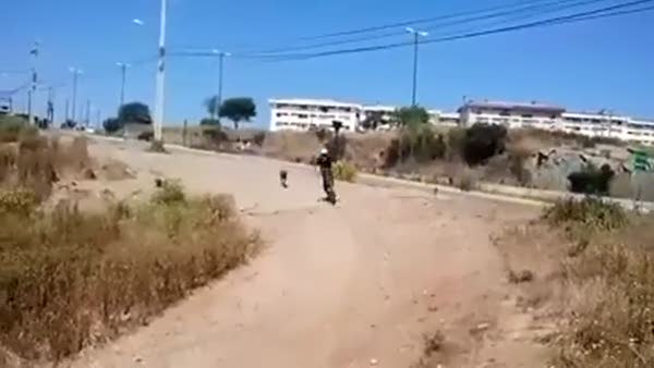 Bisikletliyi kovalayan köpeğin hazin sonu