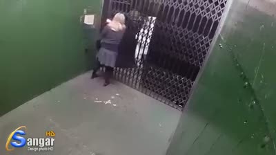 Asansörde arı şakası