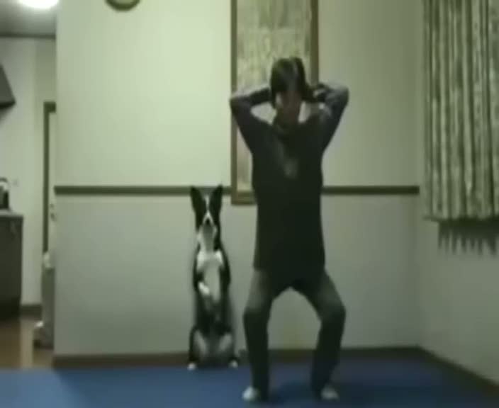 Kendini insan sanan köpek