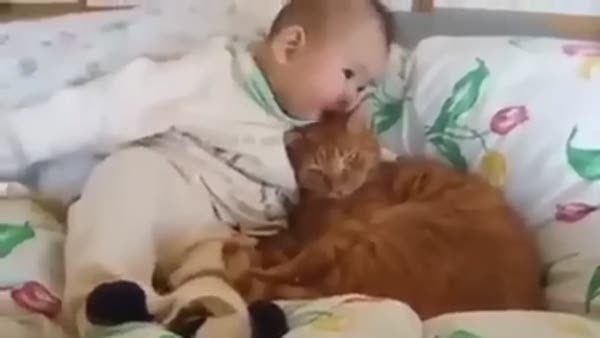 Bebek ve kedinin bağlılığı