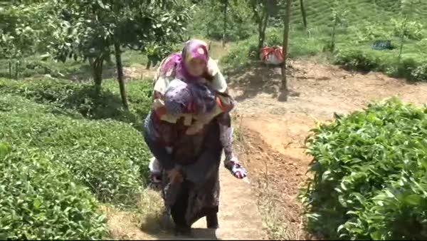66 yaşındaki gelin 104 yaşındaki  kaynanasını sırtında taşıyor