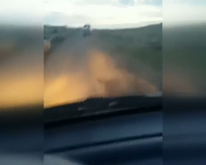 Eşeğe eziyet kamerada