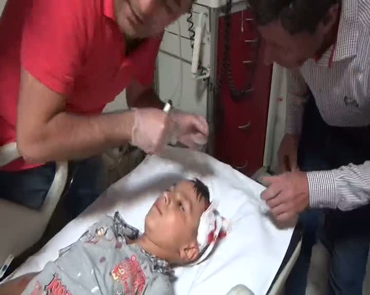 Van'da köpek dehşeti 9 yaralı