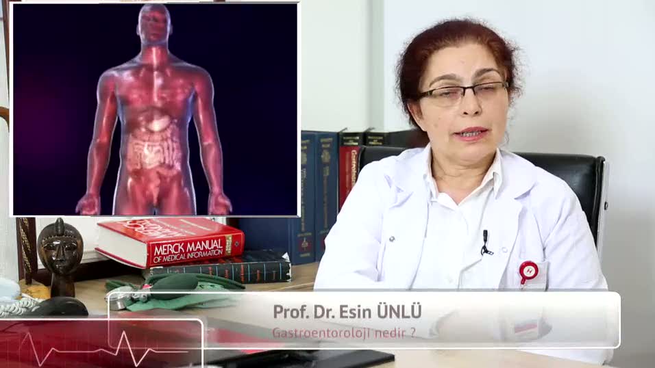 Karaciğer hastalıkları nedir?