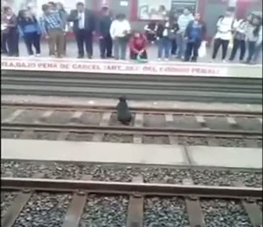 Genç kızdan takdirlik davranış