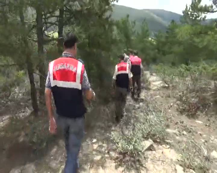 Jandarmadan kenevir tarlasına baskın kamerada