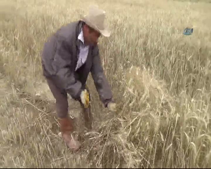 Tarlada güneş altında oruç