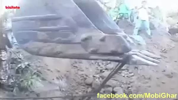 Kuyudan yavru fil kurtarma operasyonu kamerada