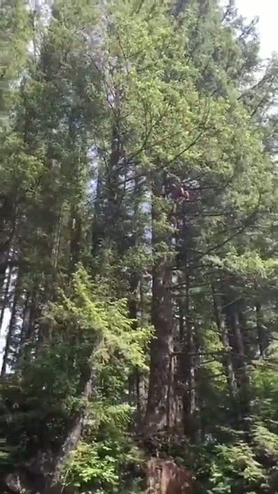 15 metre yükseklikten böyle düştü