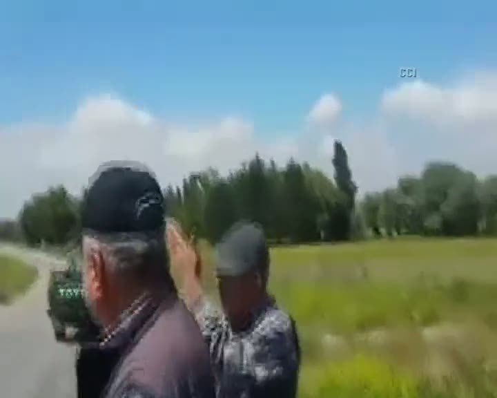 Kütahya'da köpek katliamı