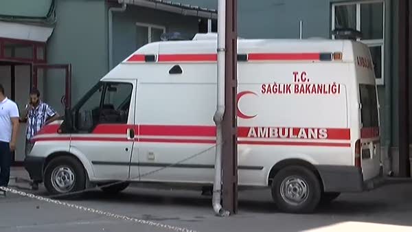 Bursa'da ayı dehşeti