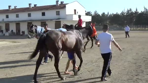 Paha biçilmez atlara dört dörtlük hastane