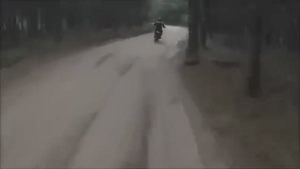 Motosiklet ayıya çarptı