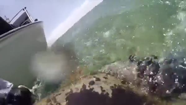 Su kaplumbağası gözünden denizaltı