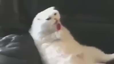 sabah